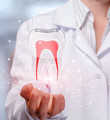 Root Canals - Dental Services in East York, ON